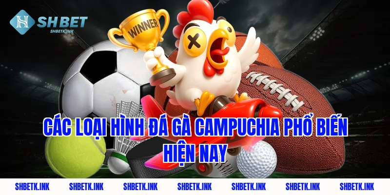 Các loại hình đá gà Campuchia phổ biến hiện nay