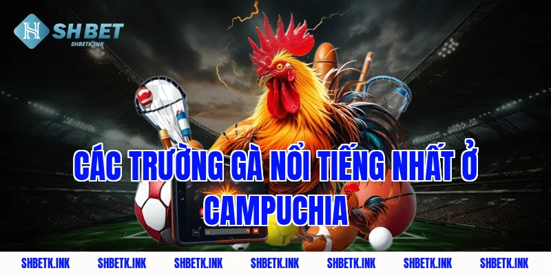 Các trường gà nổi tiếng nhất ở Campuchia