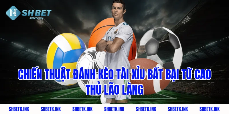 Chiến thuật đánh kèo tài xỉu bất bại từ cao thủ lão làng