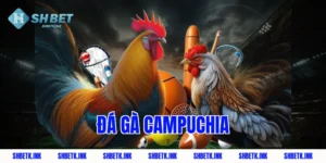 da ga campuchia 1782 1