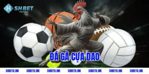 da ga cua dao 1783 1