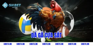 da ga cua sat 1784 1