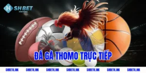 da ga thomo truc tiep 1781 1