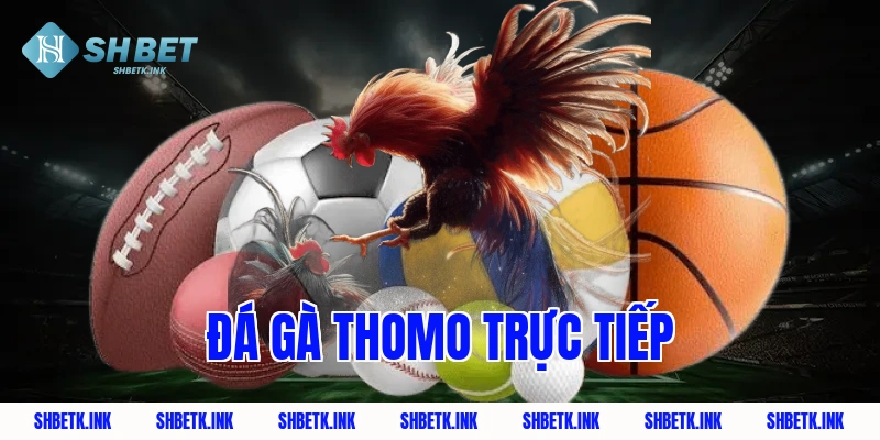 da ga thomo truc tiep 1781 1