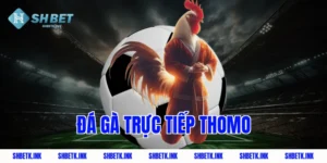 da ga truc tiep thomo 1780 1
