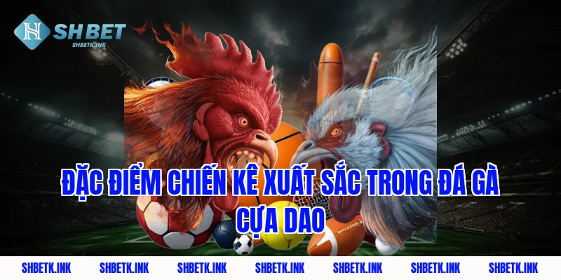 Đặc điểm chiến kê xuất sắc trong đá gà cựa dao