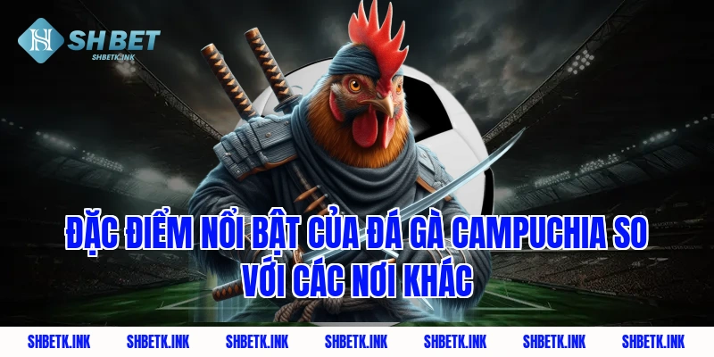 Đặc điểm nổi bật của đá gà Campuchia so với các nơi khác