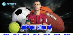 hiep phu bong da 1804 1