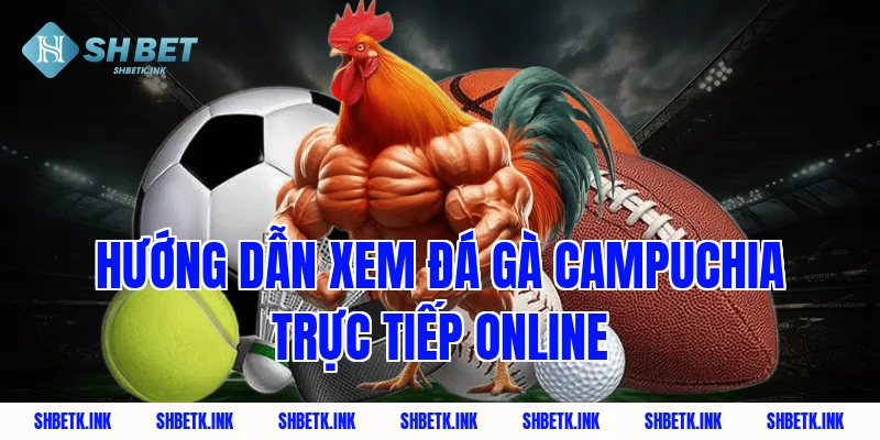 Hướng dẫn xem đá gà Campuchia trực tiếp online