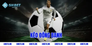 keo dong banh 1803 1