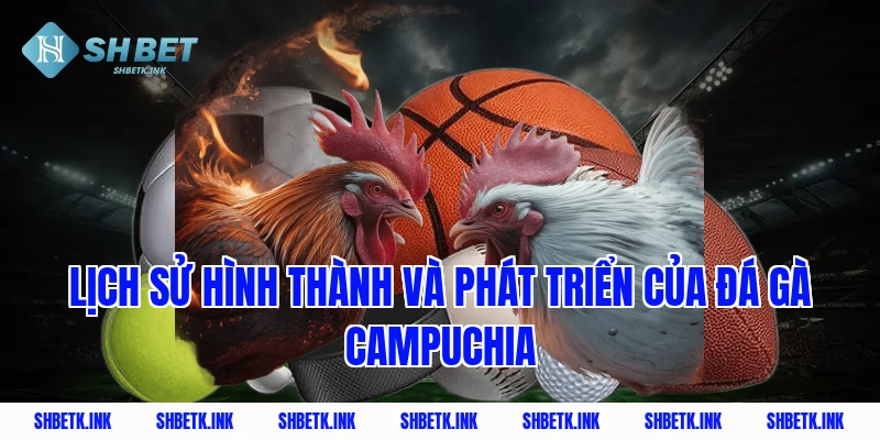 Lịch sử hình thành và phát triển của đá gà Campuchia