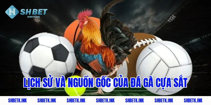 Lịch sử và nguồn gốc của đá gà cựa sắt