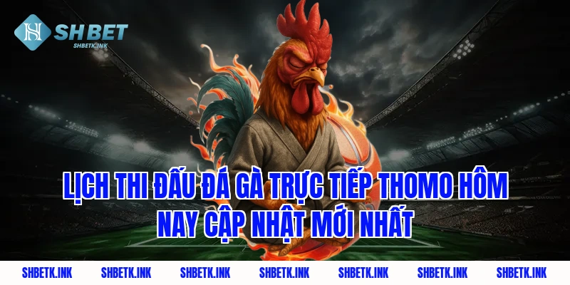 Lịch thi đấu đá gà trực tiếp thomo hôm nay cập nhật mới nhất