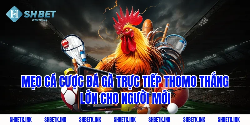 Mẹo cá cược đá gà trực tiếp thomo thắng lớn cho người mới