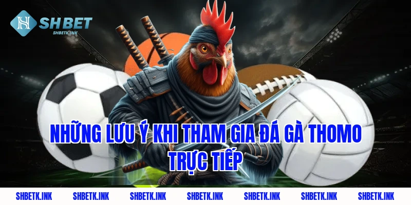 Những lưu ý khi tham gia đá gà Thomo trực tiếp