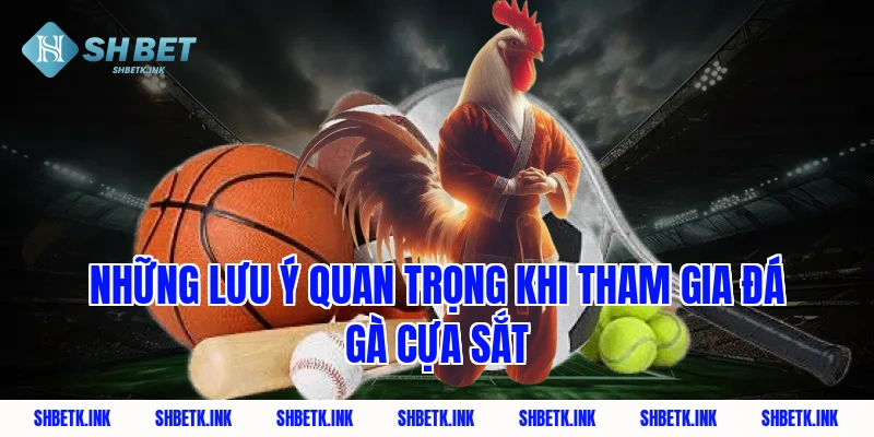Những lưu ý quan trọng khi tham gia đá gà cựa sắt