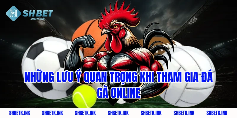 Những lưu ý quan trọng khi tham gia đá gà online