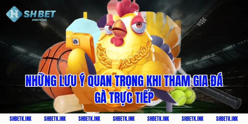 Những lưu ý quan trọng khi tham gia đá gà trực tiếp