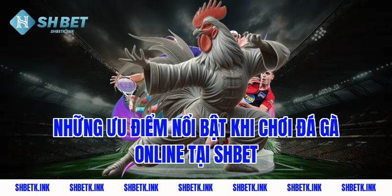 Những ưu điểm nổi bật khi chơi đá gà online tại SHBET