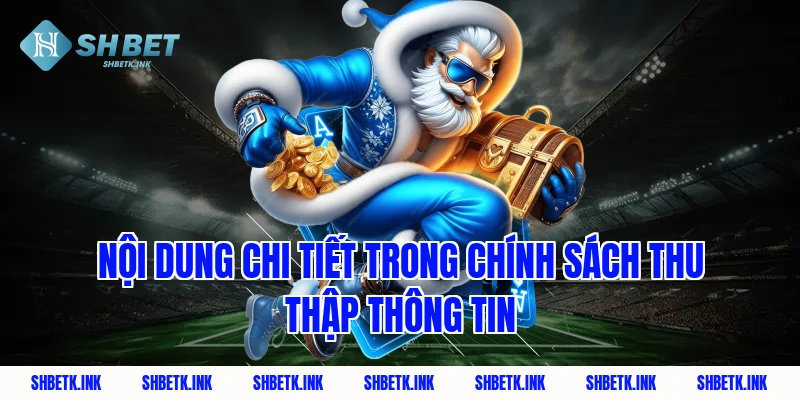 Nội dung chi tiết trong chính sách thu thập thông tin