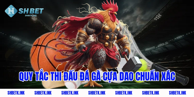 Quy tắc thi đấu đá gà cựa dao chuẩn xác