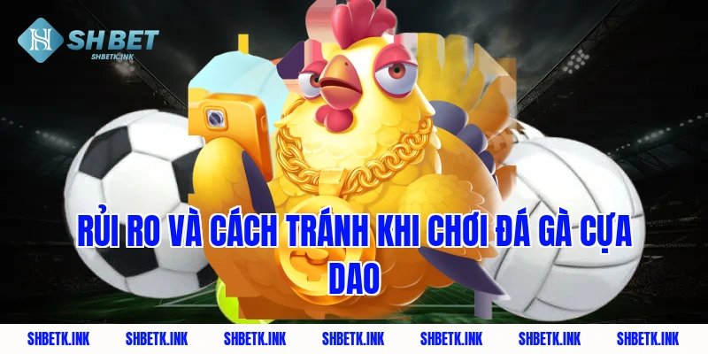 Rủi ro và cách tránh khi chơi đá gà cựa dao