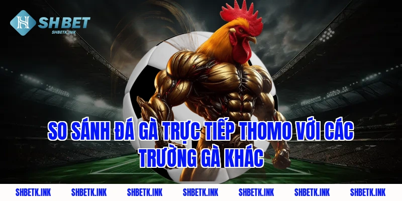 So sánh đá gà trực tiếp thomo với các trường gà khác