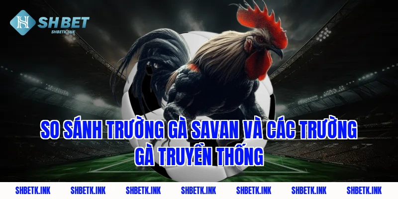 So sánh trường gà savan và các trường gà truyền thống