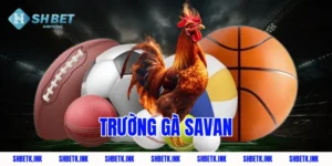 truong ga savan 1786 1