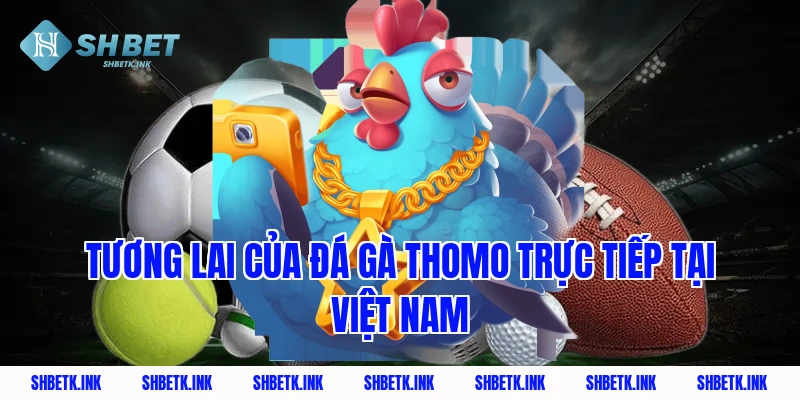 Tương lai của đá gà Thomo trực tiếp tại Việt Nam