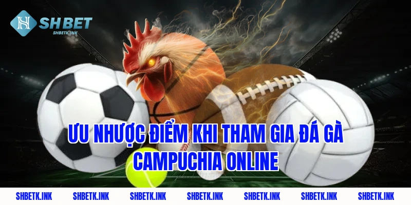 Ưu nhược điểm khi tham gia đá gà Campuchia online